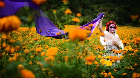 Dia de Los Muertos Altar: Flor de Cempasúchil – Unleashing My Inner Chingona